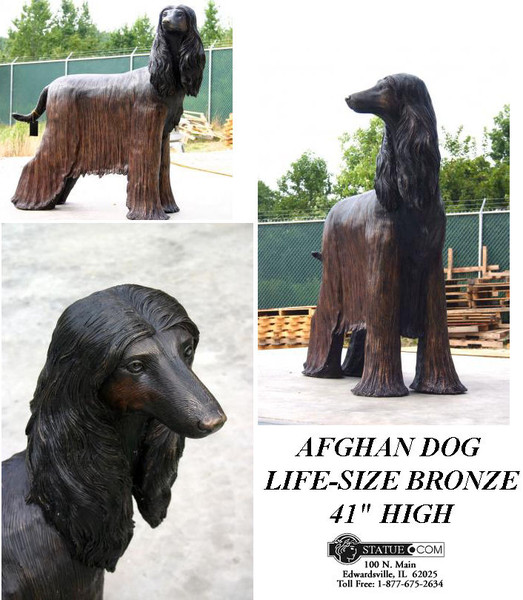 Life size bronze afghan dog with long hair groomed on face and body